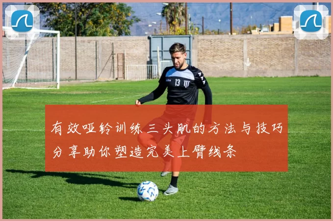 有效哑铃训练三头肌的方法与技巧分享助你塑造完美上臂线条