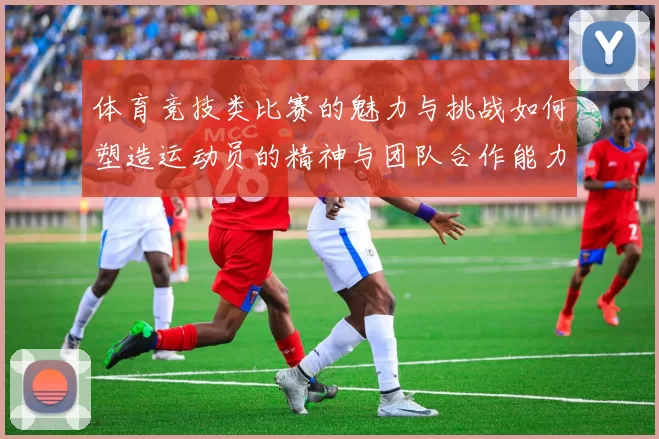 体育竞技类比赛的魅力与挑战如何塑造运动员的精神与团队合作能力